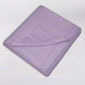 AZO Free Top Quality New Style Silk Material TV Blankets Plain Winter Blankets With Brushed